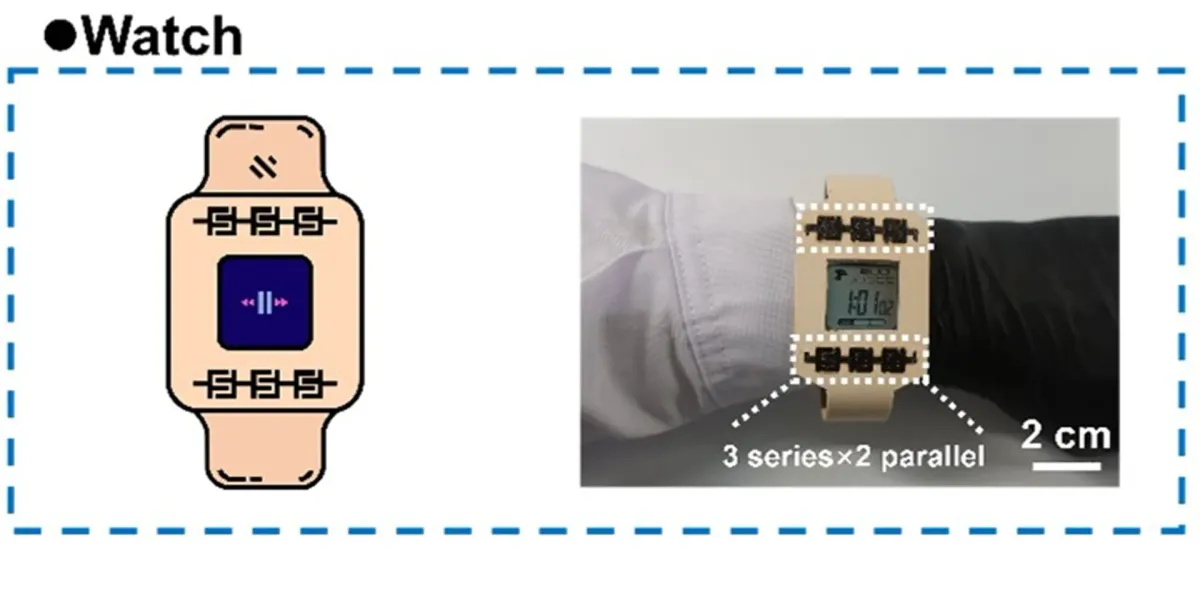 Article illustration