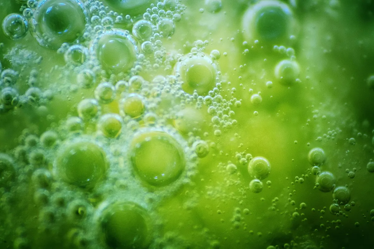 Life Learned To Breathe Oxygen Hundreds of Millions of Years Earlier Than Scientists Thought