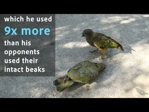 Article illustration