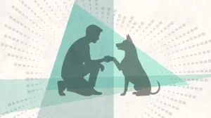 Article illustration
