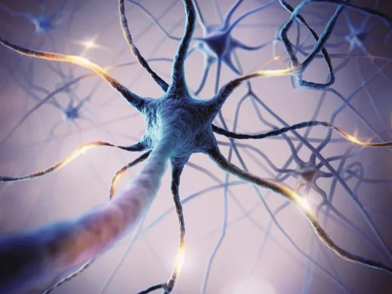 Turns Out Your Brain Cells Are Way More Flexible Than We Thought