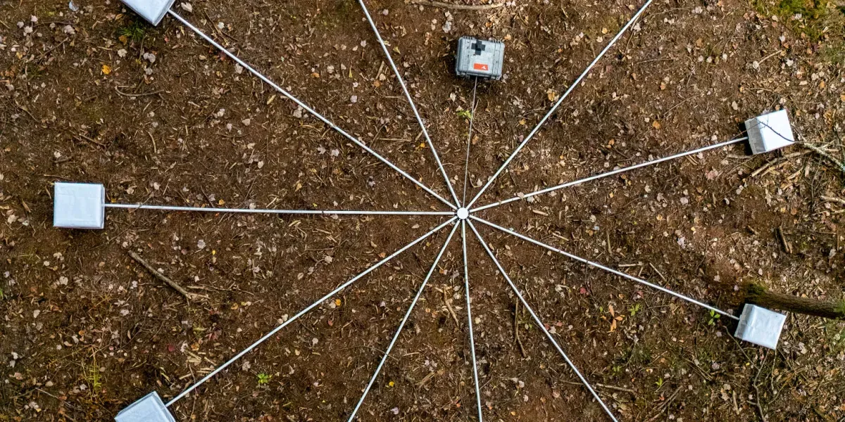 Artist translates Earth's inaudible rumbles into haunting 24-minute soundscape