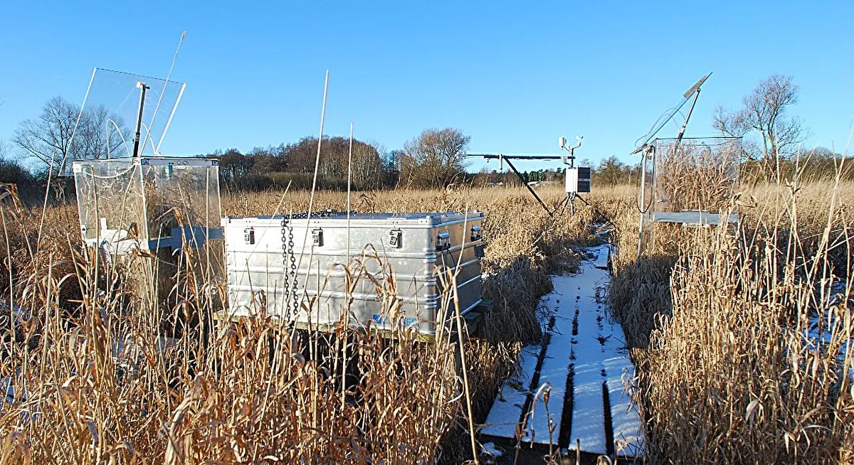 Wetlands do not need to be flooded to provide the greatest climate benefit, shows study