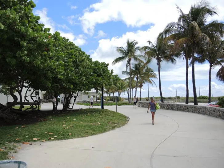 A person walks on a sidewalk lined with palm trees in Miami Beach's Lummus Park