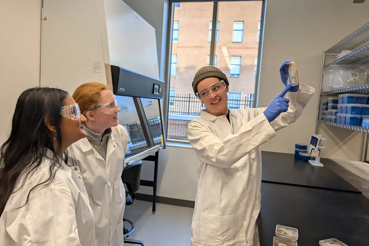 Invisible microbial networks hold the key to forest survival