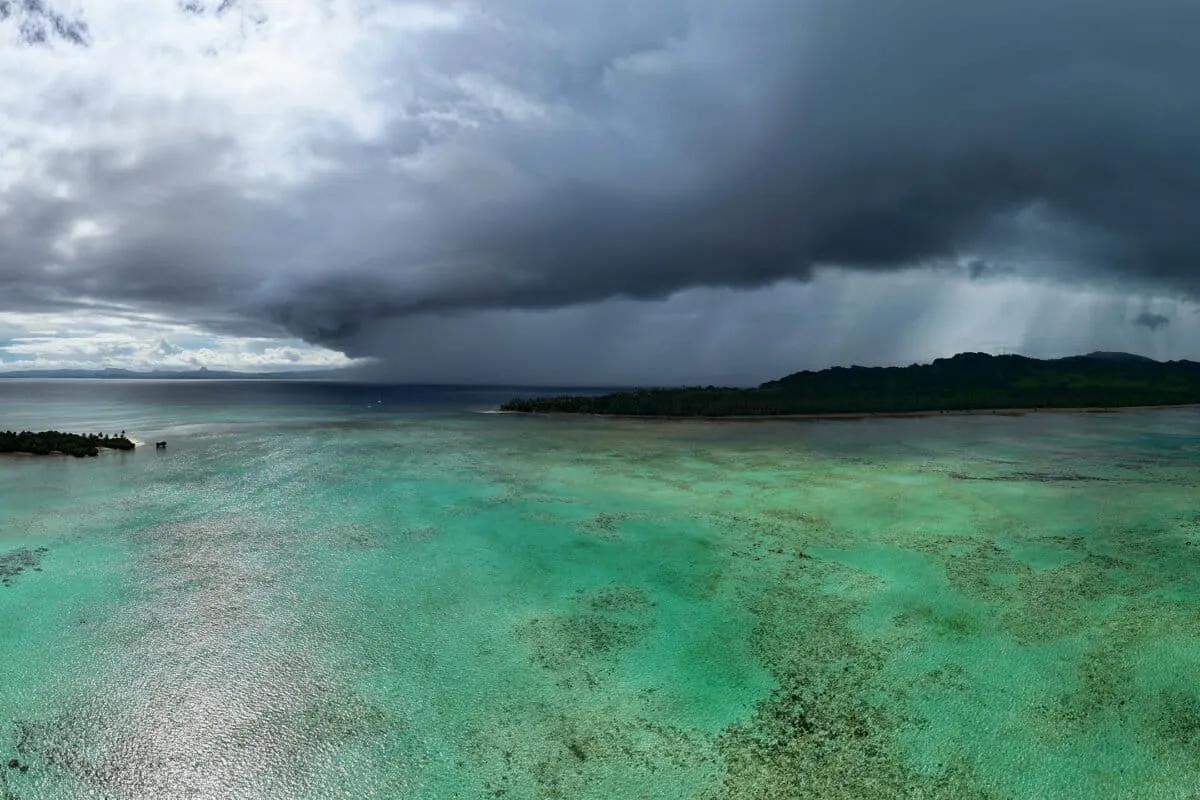 Environmental journalism reaches 111 million readers, but influence matters more