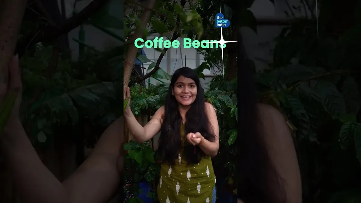 Engineer Turns Bengaluru Terrace Into a Mini Rainforest