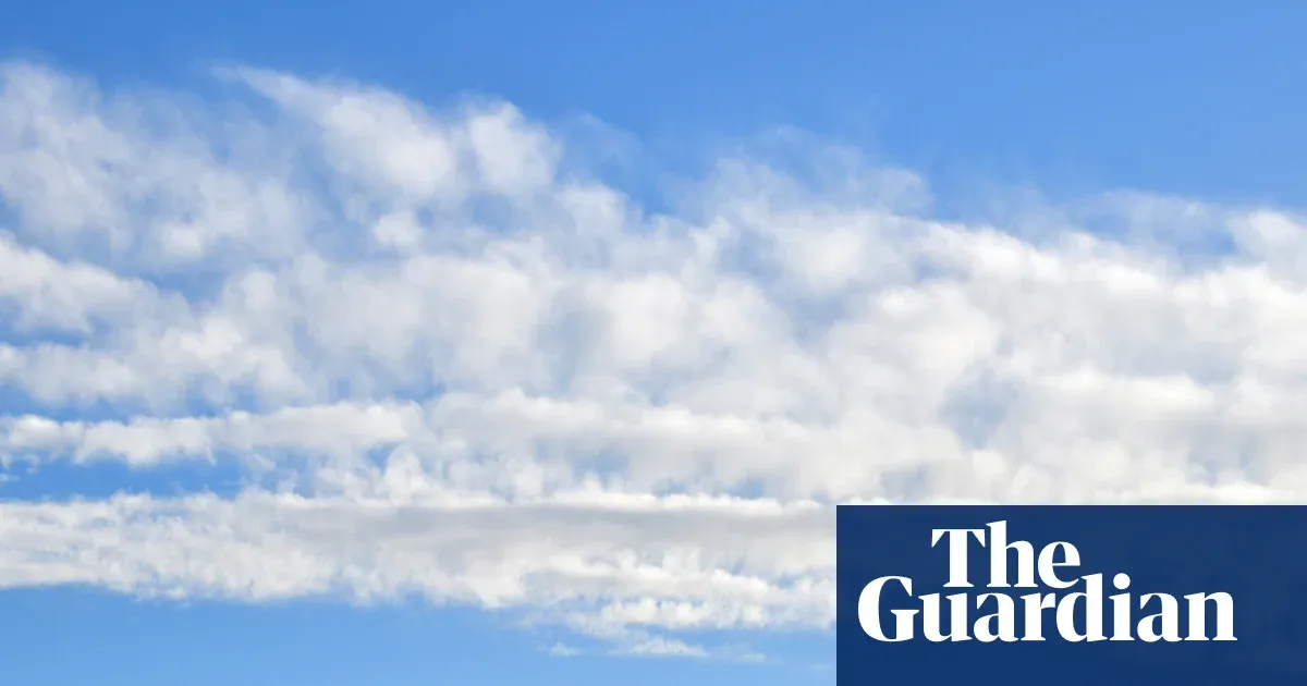 Beneath the Storm's Fury, Nature's Quiet Resilience Blooms