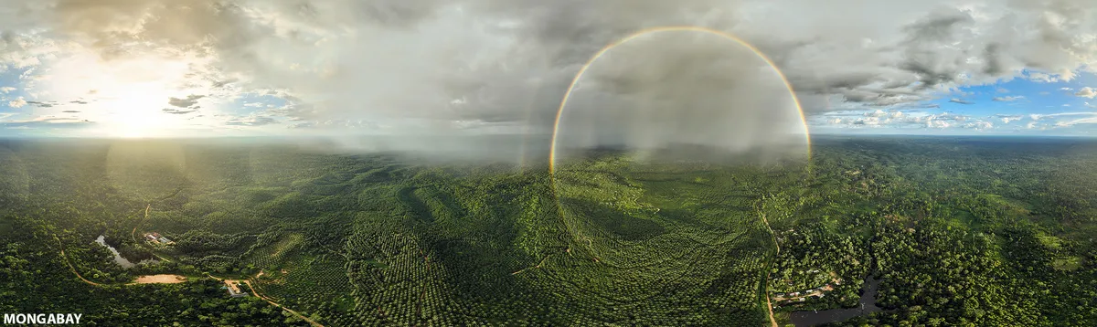 Southeast Asian nations chart important new course toward environmental justice (commentary)
