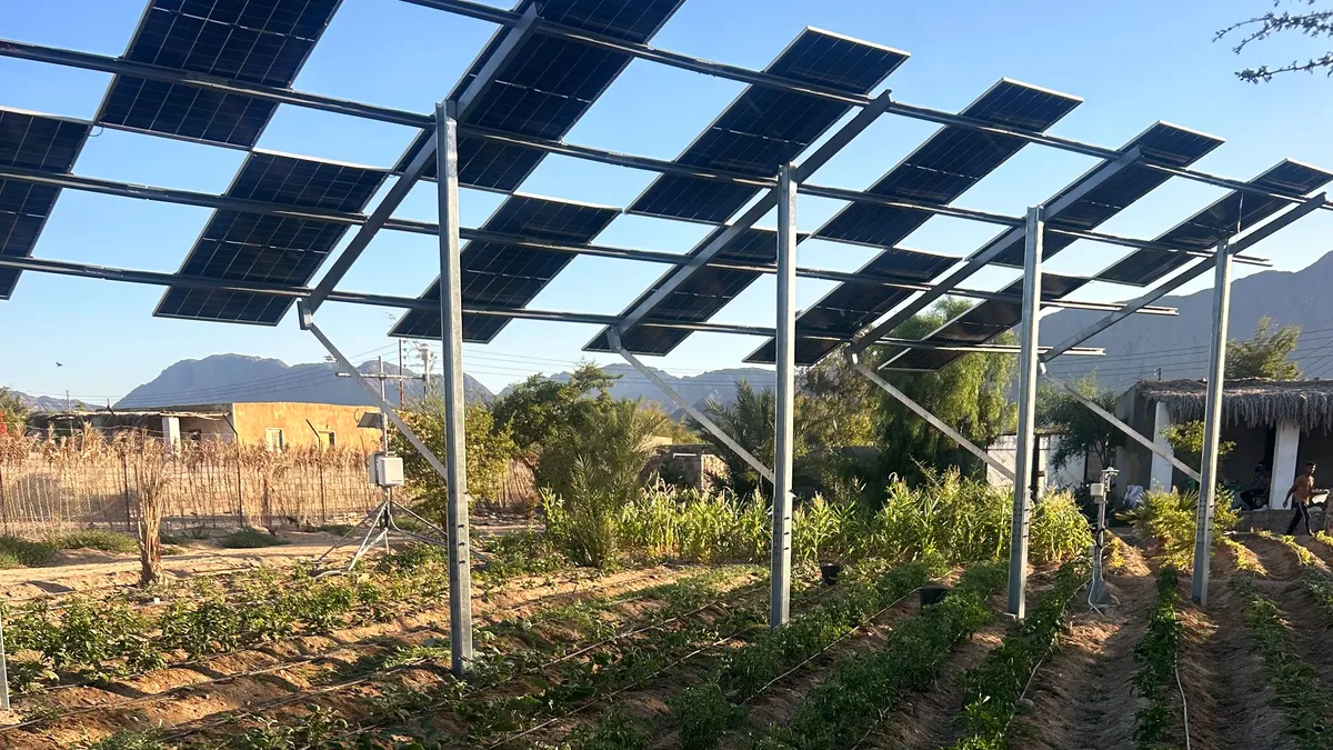 Egyptian Farmers Found a Genius Way to Beat the Heat: Solar Panels