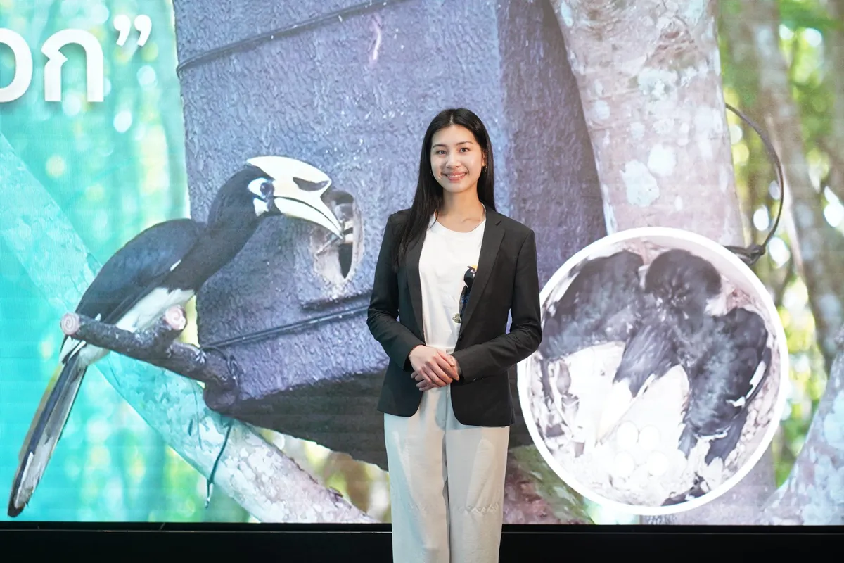 Teen Innovators Tackle Giant Problems: Hornbills, Seaweed, and Bandages