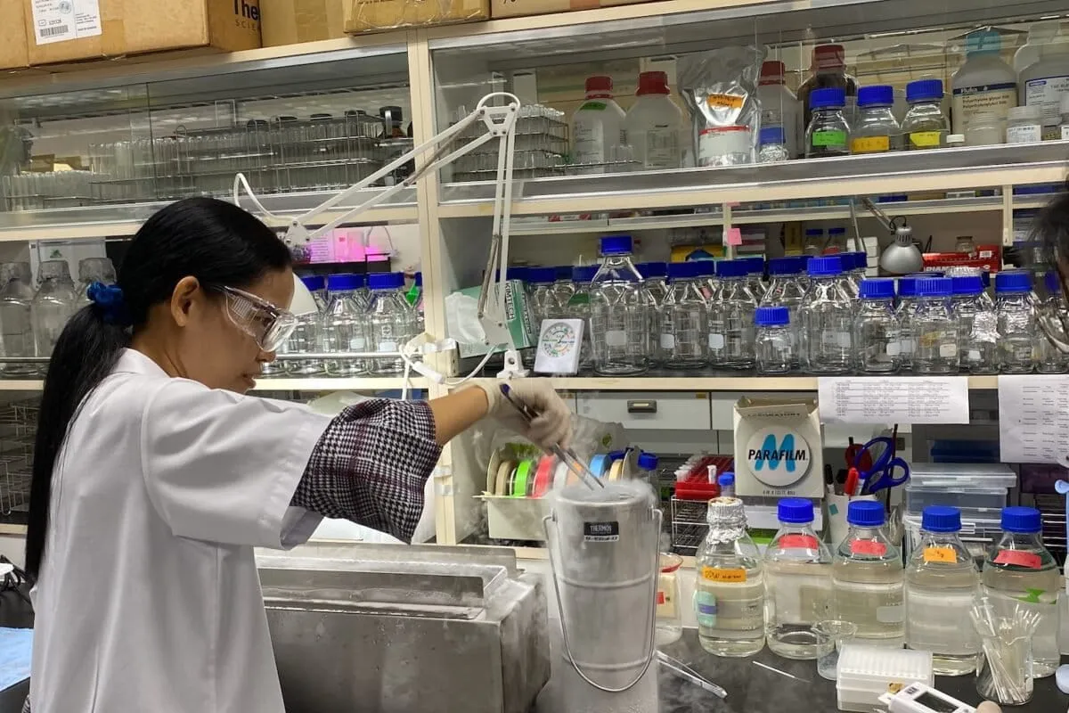 Thailand's coral cryobank preserves reef DNA for future restoration