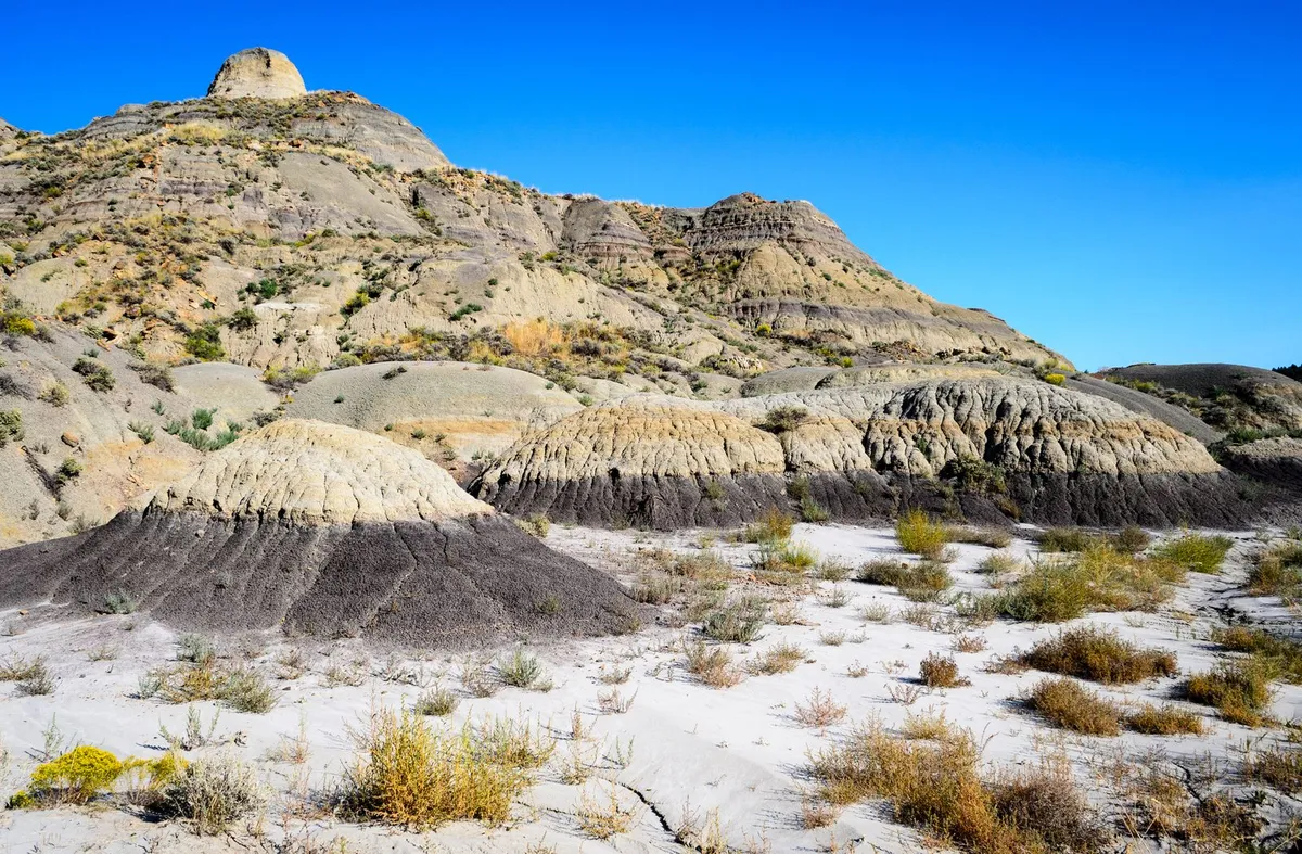 The Hell Creek Formation Is North America's Legendary Boneyard. See the Top Five Discoveries Found in the Iconic Fossil Bed