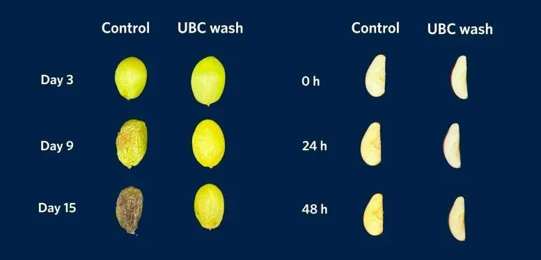 Scientists Develop a Fruit Wash That Removes Pesticide Residues and Keeps Produce Fresh Longer