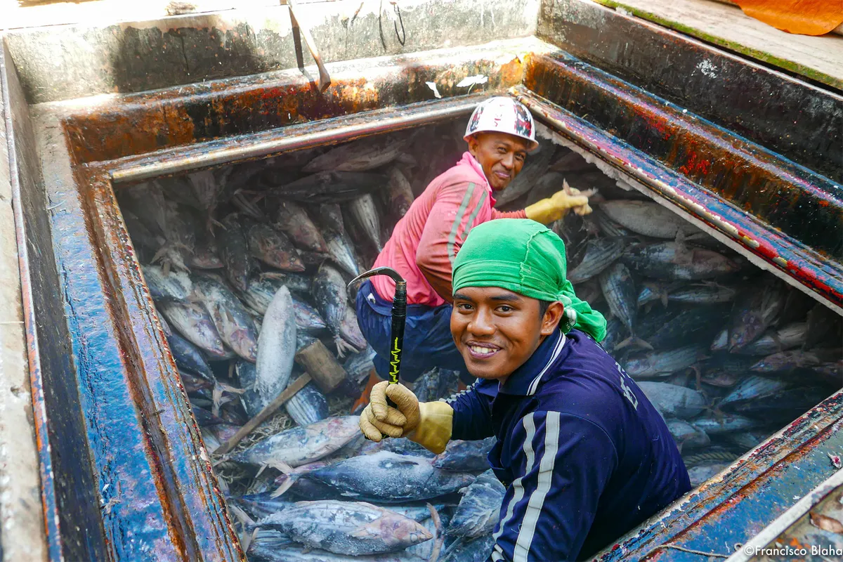 Indonesia’s ratification of fishing labor reforms will also boost conservation (commentary)