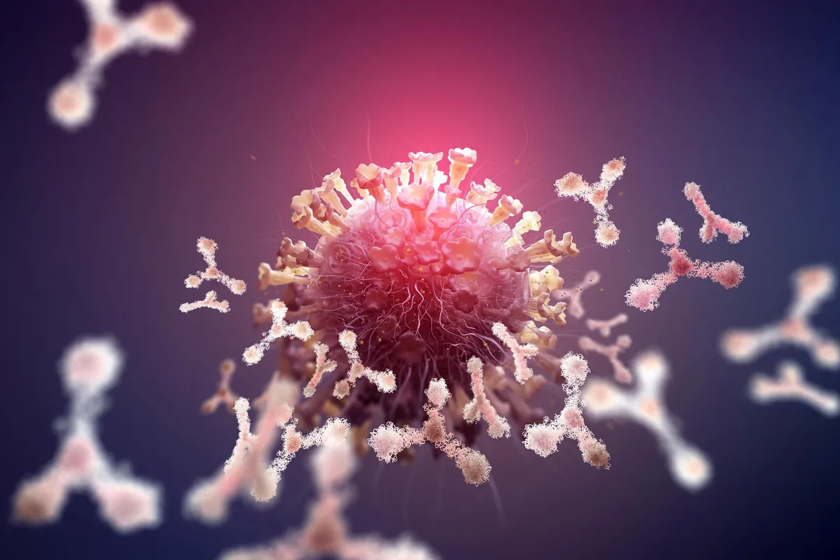 Scientists Uncover Hidden Biological Differences Between Men and Women’s Immune Systems