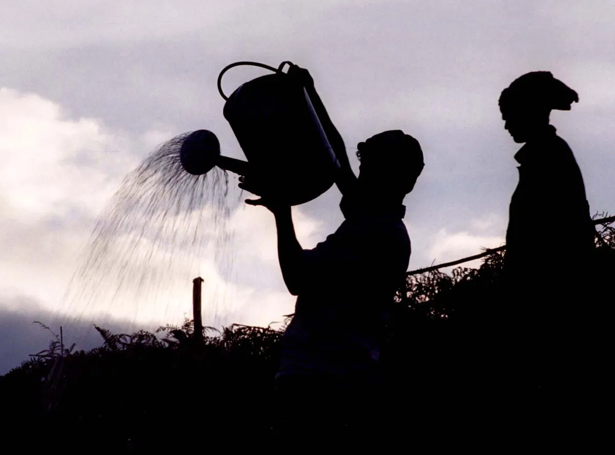 El Niño: Governments Brace for a Historic, Wildly Unpredictable Future