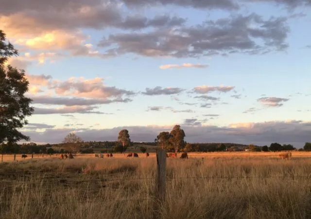 Article illustration