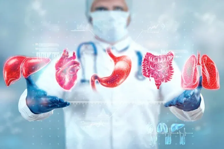 Study Reveals Your Organs May Be Aging at Very Different Speeds