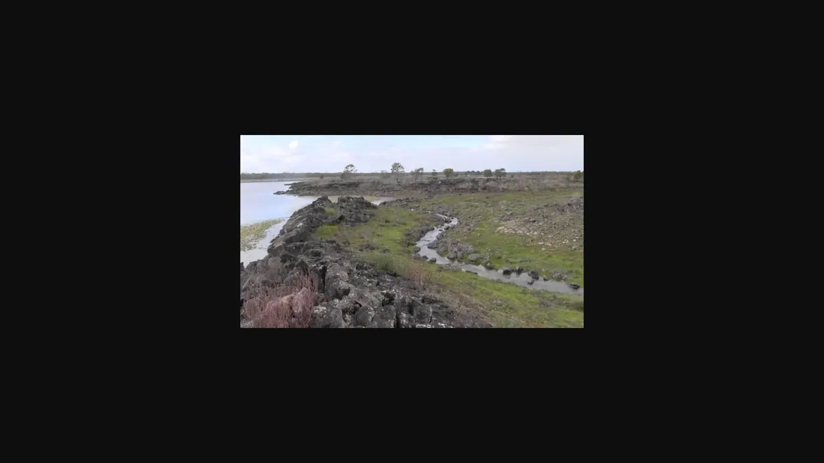 Article illustration