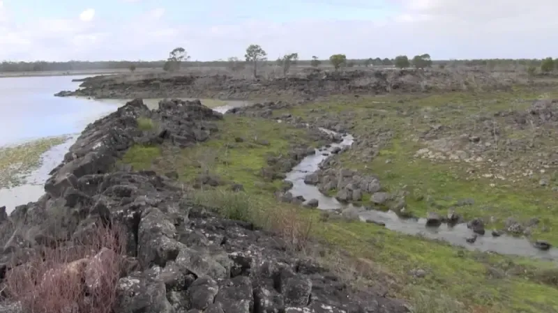 Article illustration