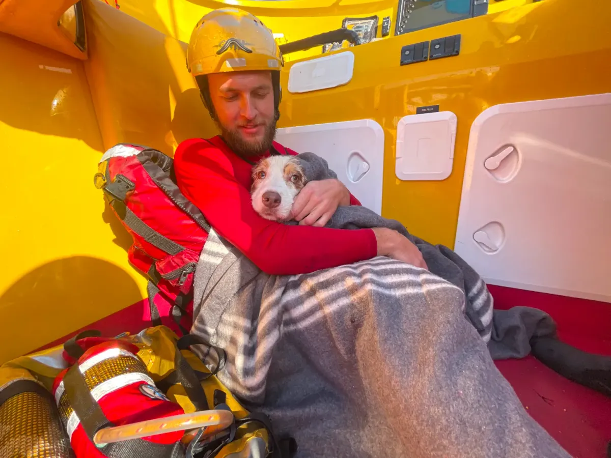 A bearded man in a red shirt and yellow helmet holds a small brown and white dog wrapped in a gray blanket inside a yellow emergency vehicle with red seats and white storage compartments.