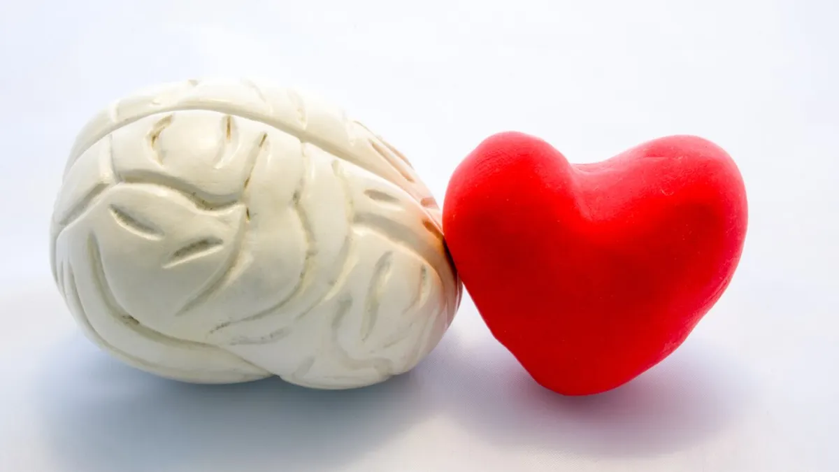 Scientists shed new light on the brain's role in heart attack