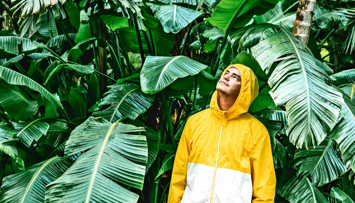 Turns Out, Nature Sounds Are Your Brain's Favorite Playlist