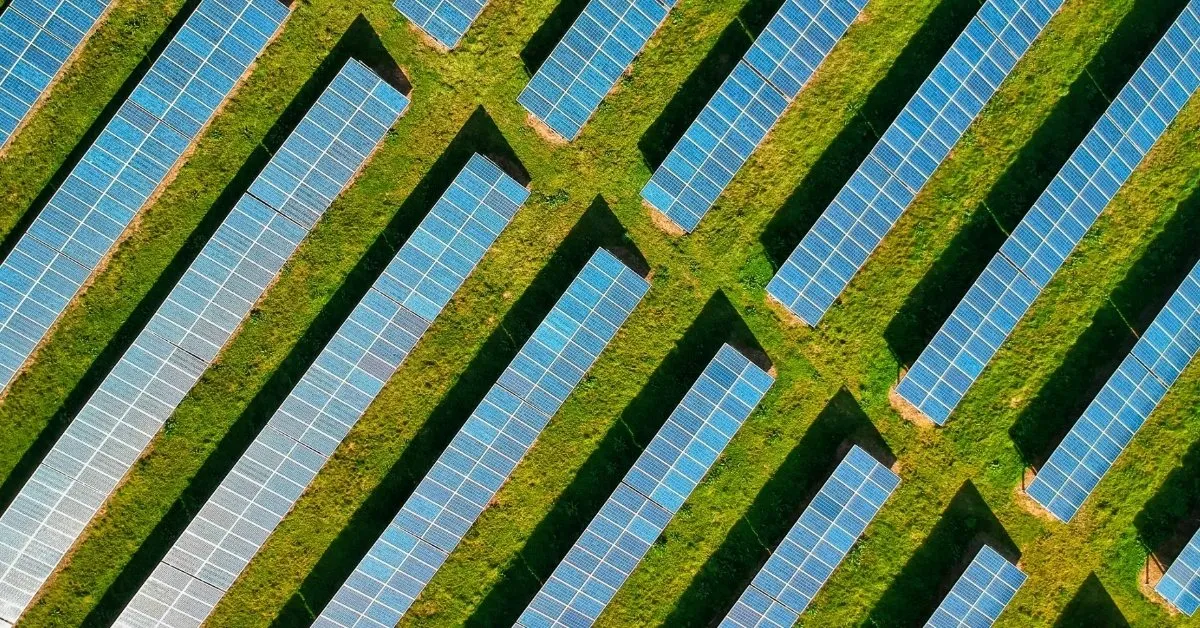 Renewables Just Got So Cheap, They're Outcompeting Fossil Fuels