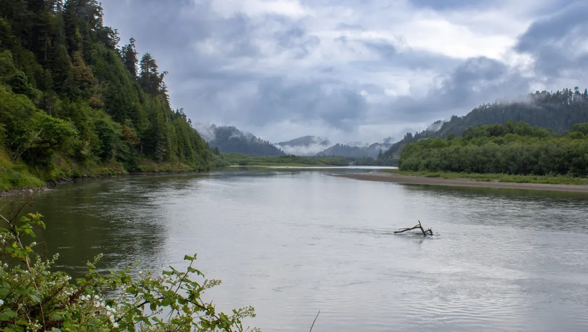 What We’re Reading: 20,000 Salmon Return to the Klamath River