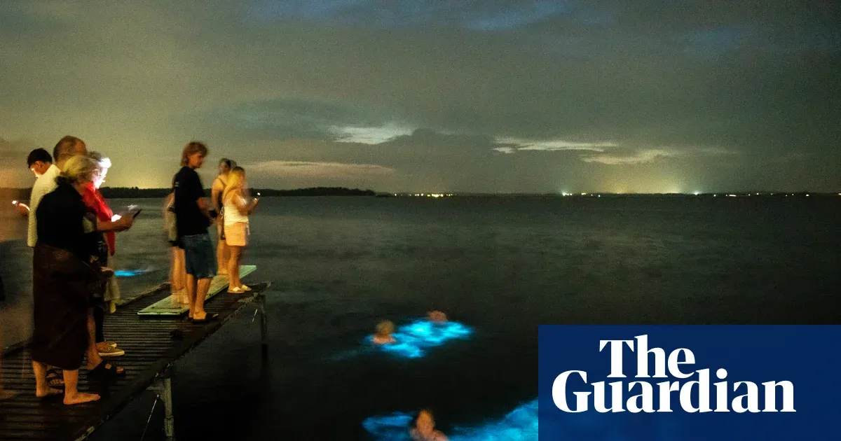 Bioluminescent algae’s blue light harnessed to make 3D-printed shapes