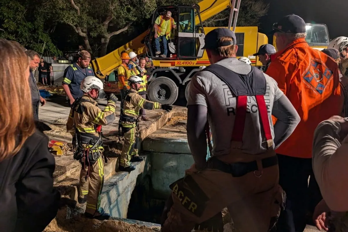 Storm drain rescue gives injured manatee a second chance at recovery