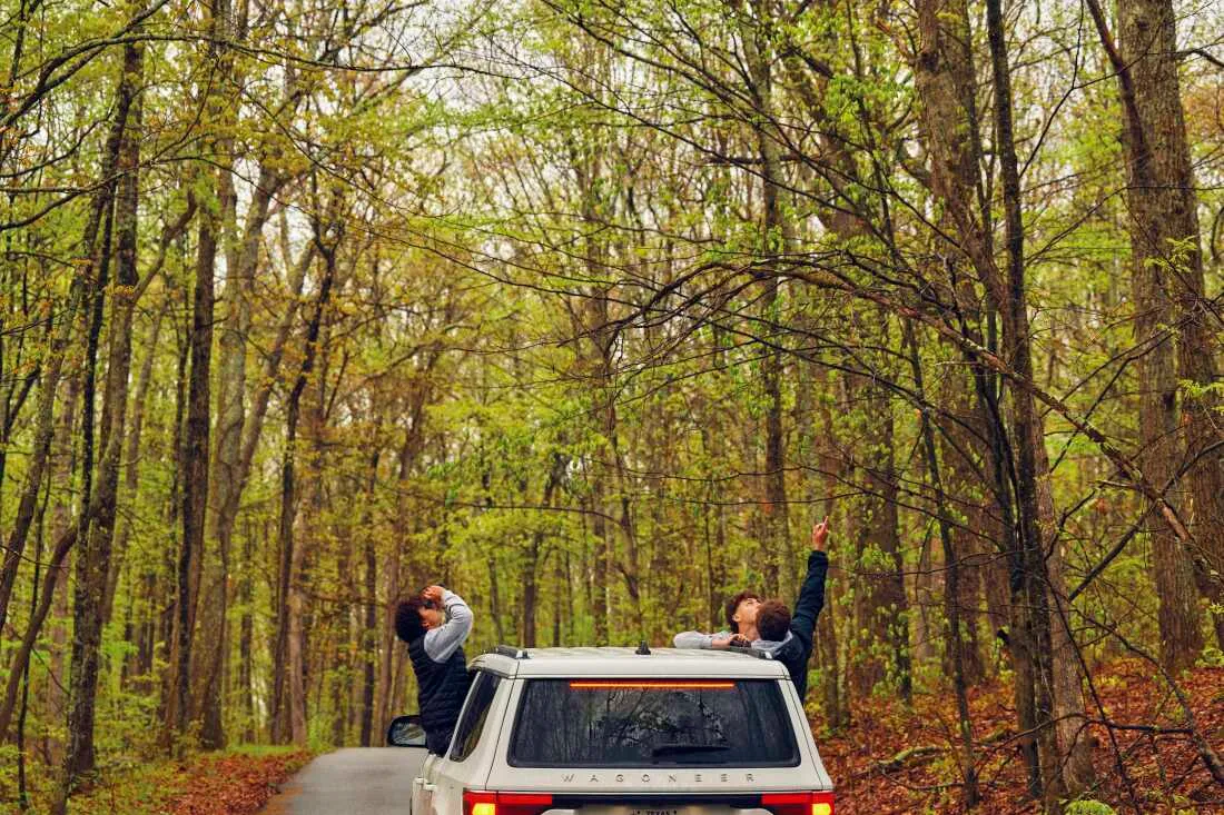 The teammates sit on the ledges of their SUV's rolled-down windows while looking for birds at High Point State Park.