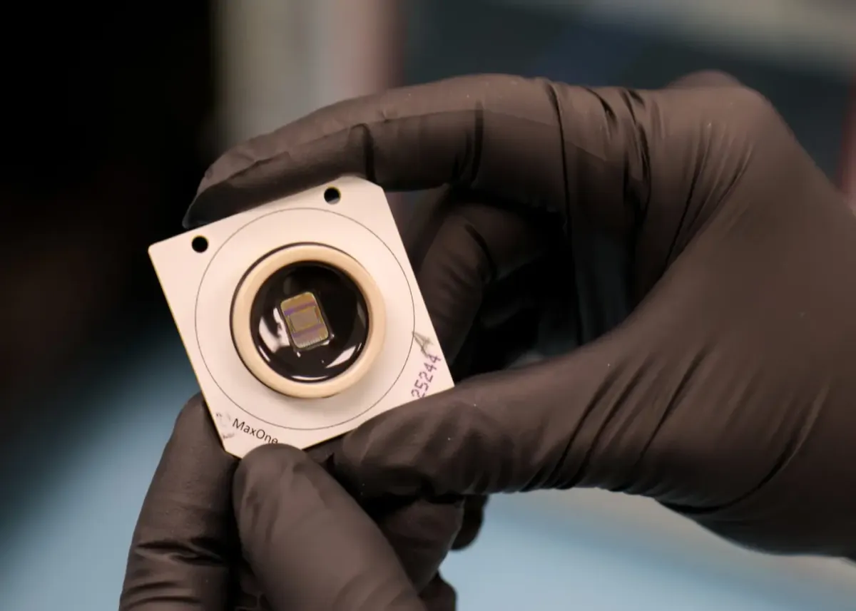 Article illustration