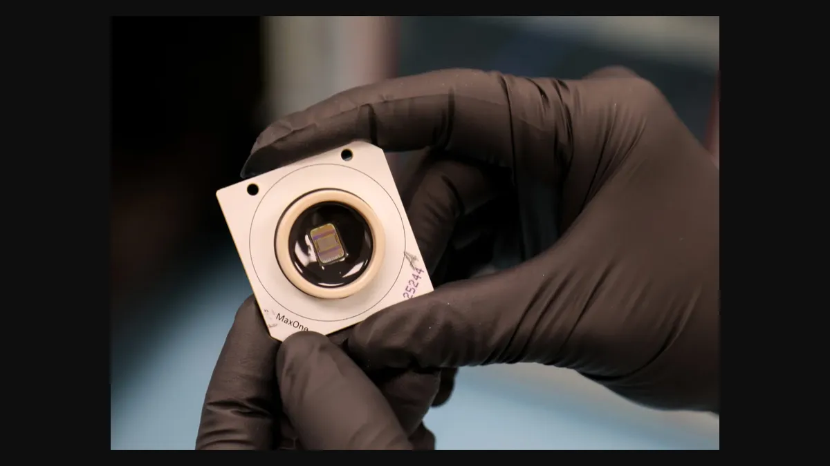 Article illustration