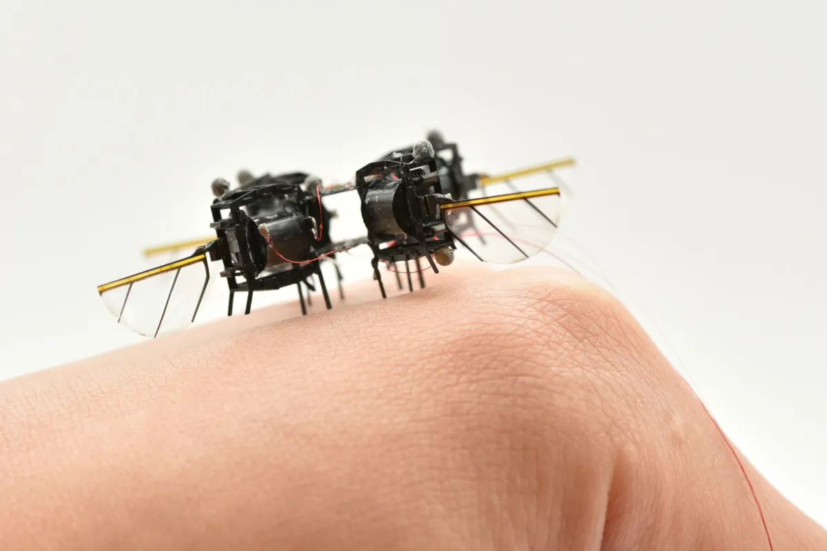 MIT’s Tiny Flying Robot Just Learned To Move Like a Real Insect