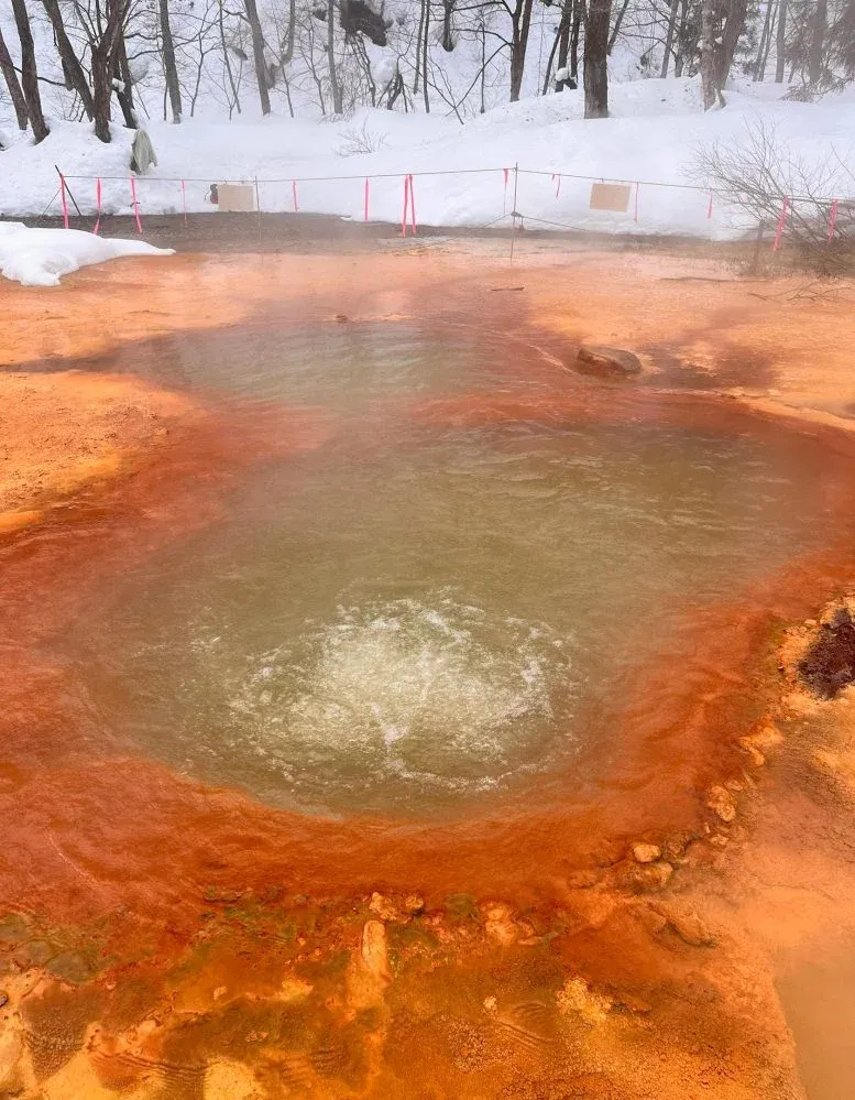 A picture of one of five hot springs during winter, showing the source water and CO₂ bubbles