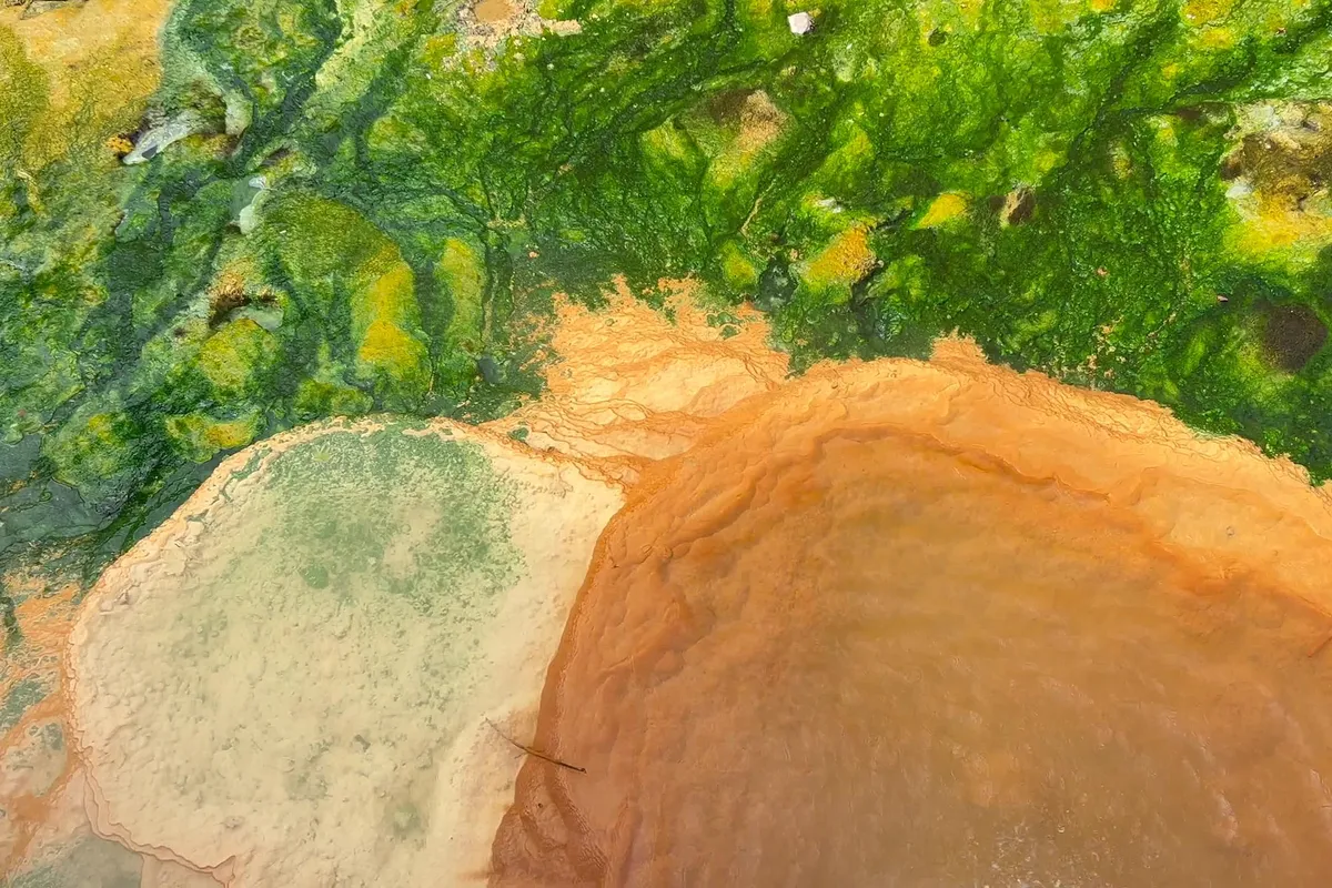 Ancient Hot Springs Reveal How Life Survived on a Toxic Early Earth