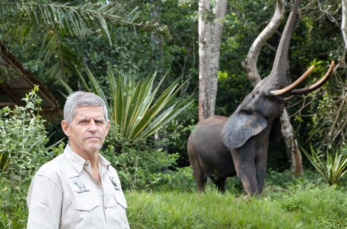 Article illustration