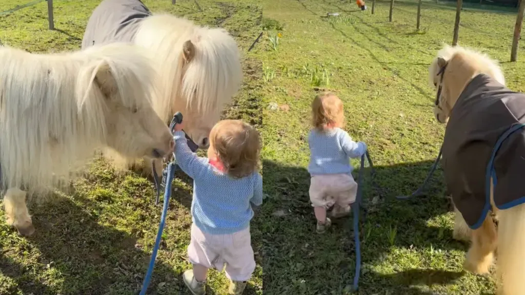 Article illustration