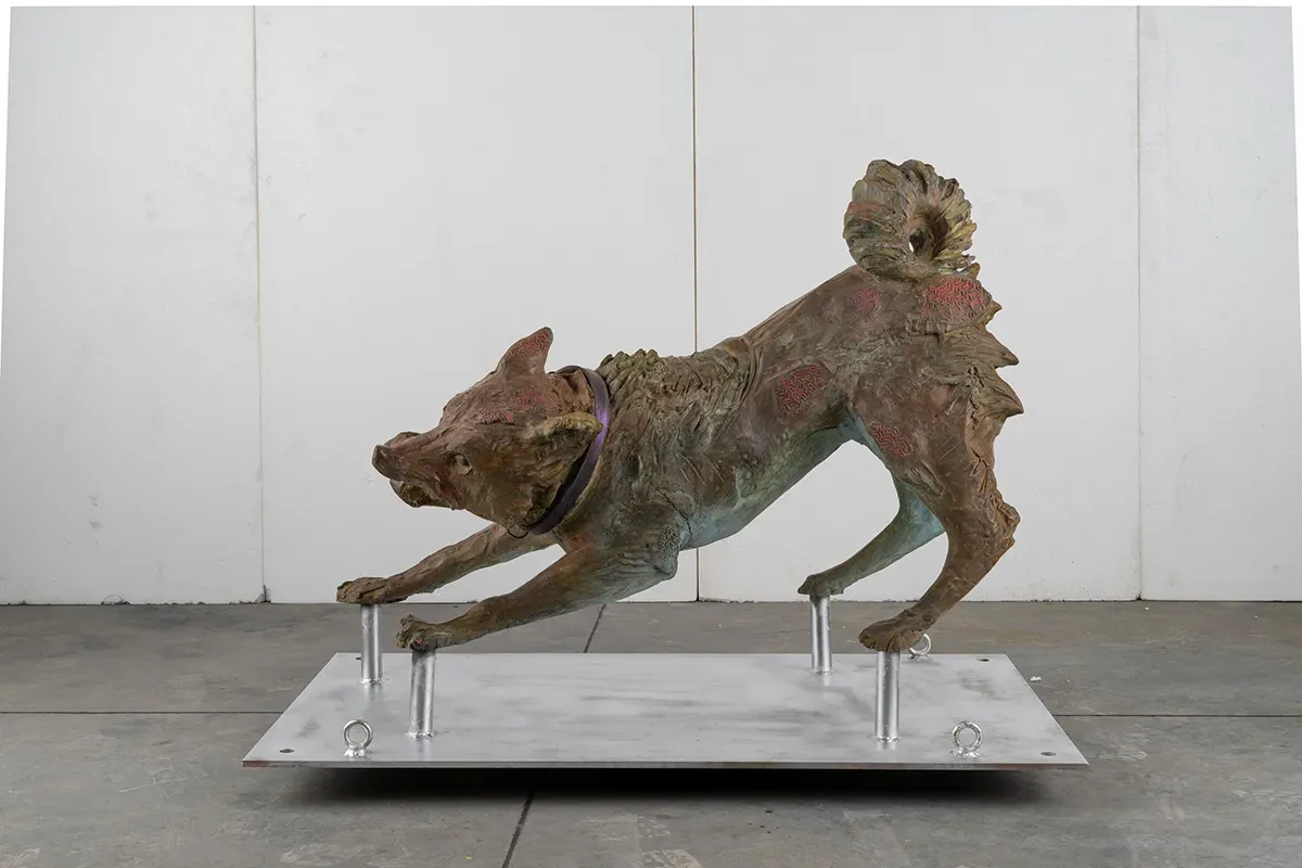 Central Park is Getting 12 Giant Dog Sculptures. Your Walk Just Got Weirder.