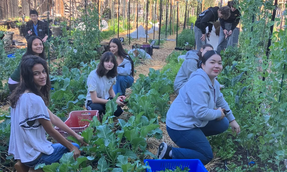 LA's Urban Farmers Are Growing More Than Food — They're Growing Businesses
