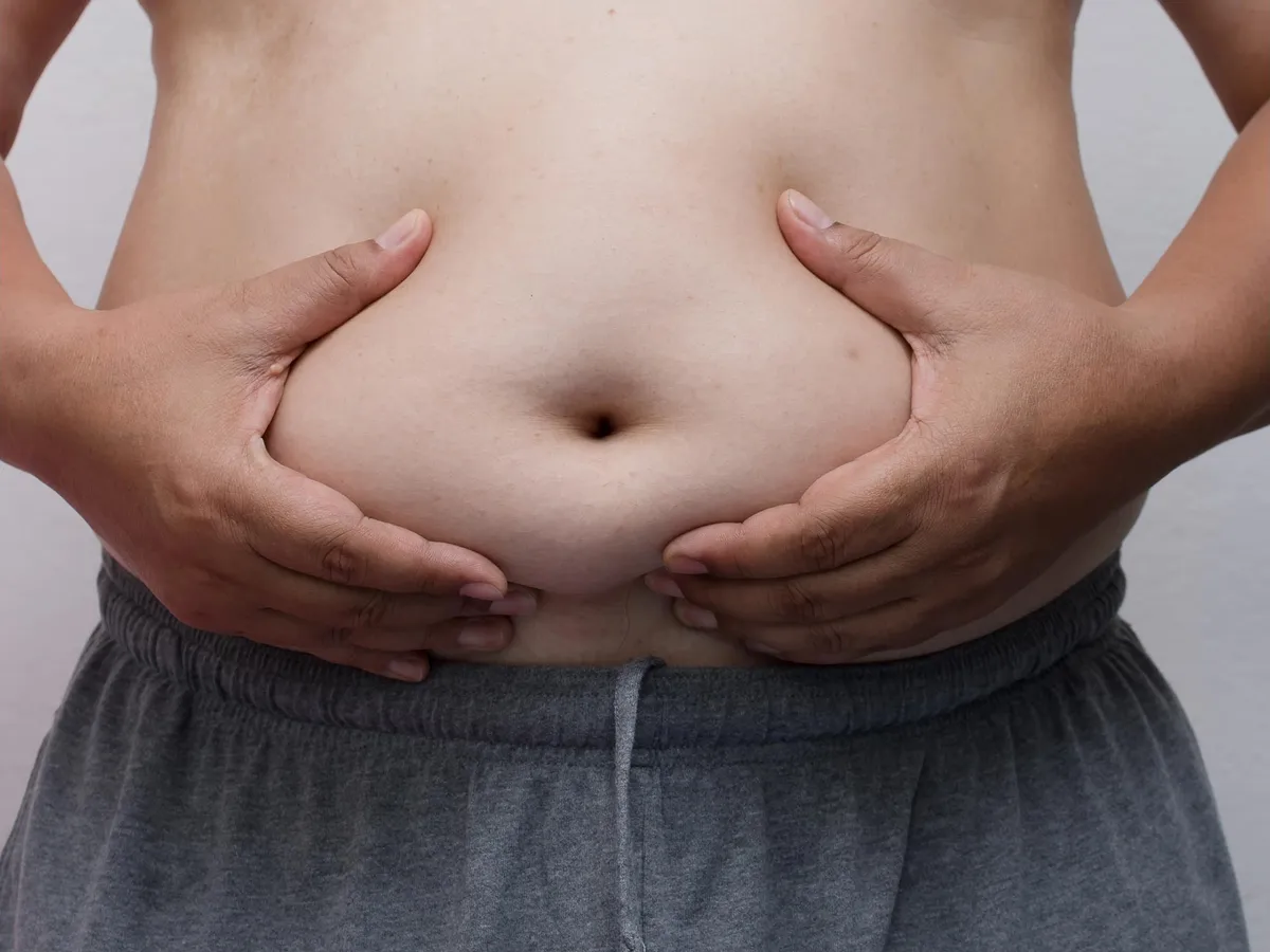 Does Fat Remember Obesity? Scientists Reveal Surprising Answer