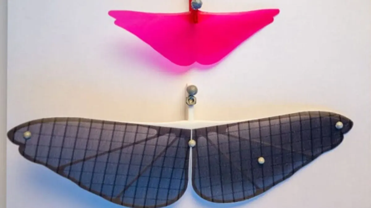 Could Grasshopper-Inspired Wings Solve the Battery Crisis for Tiny Robots?