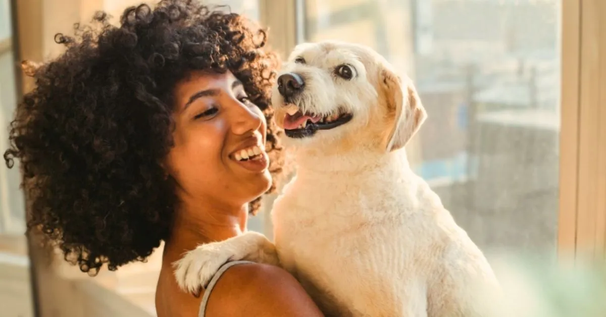 New study: Spending just 15 minutes with a dog can significantly relieve stress