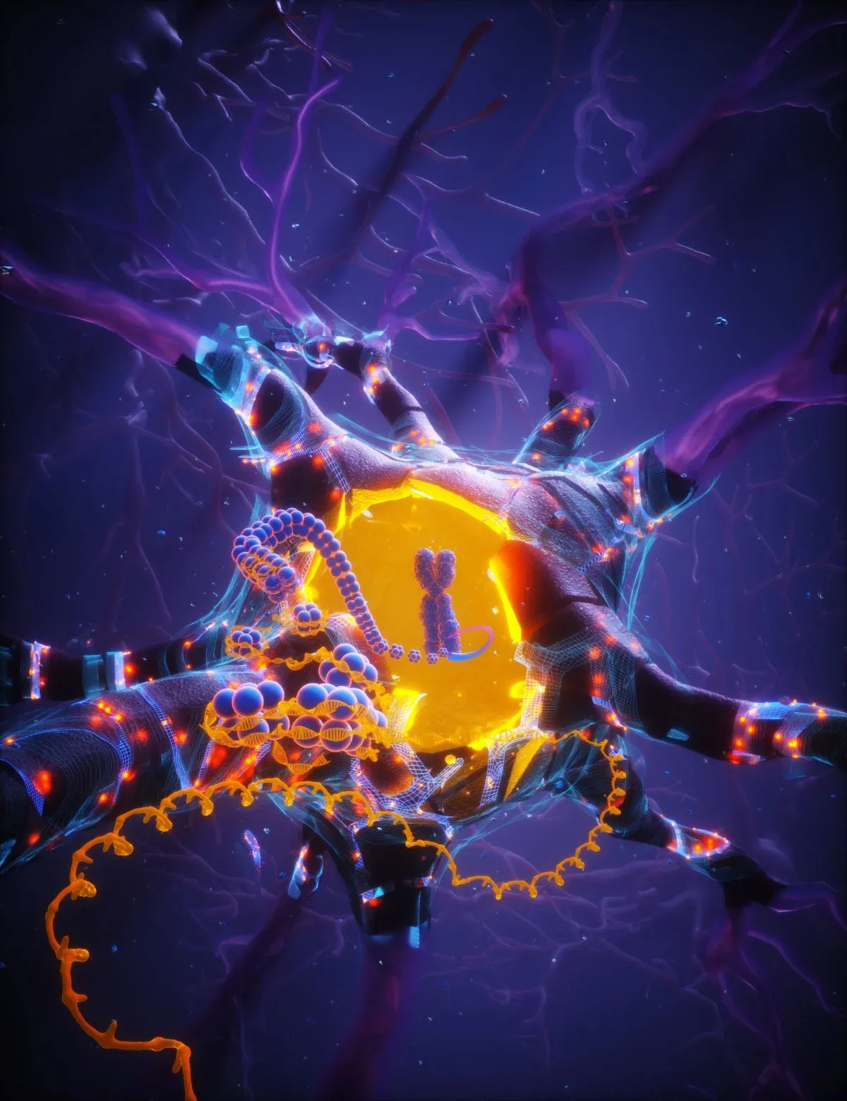 A 'Longevity Gene' Explains Why Some Brains Age Like Fine Wine