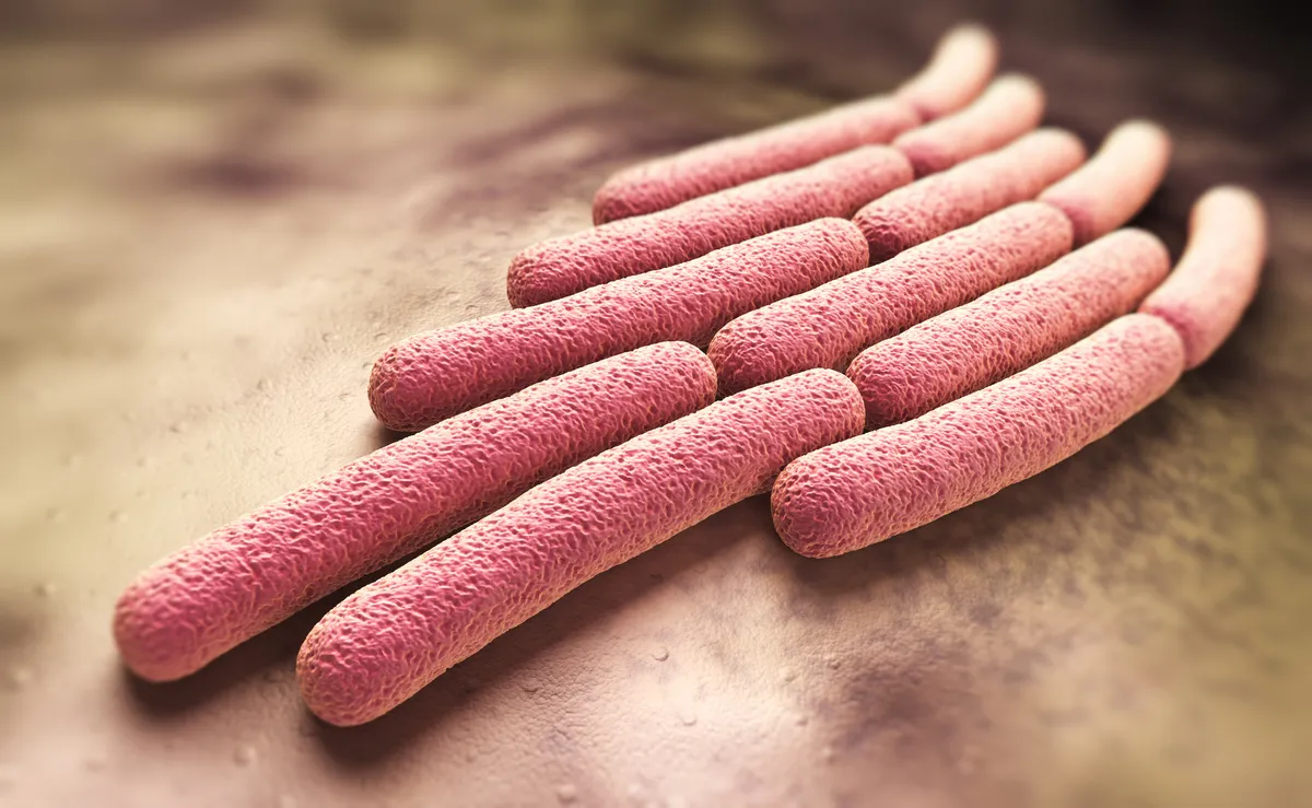 A Century-Old Disease Has a New Vaccine. The Catch? Talking About It.