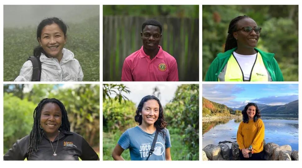 The 'Green Oscars' Just Dropped. Salamanders, Seabirds, and $566,000 Win Big.