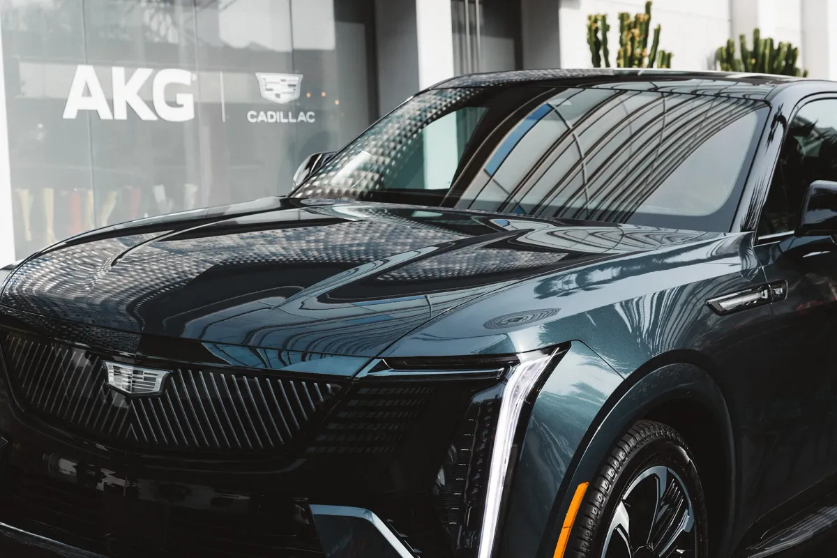 Article illustration