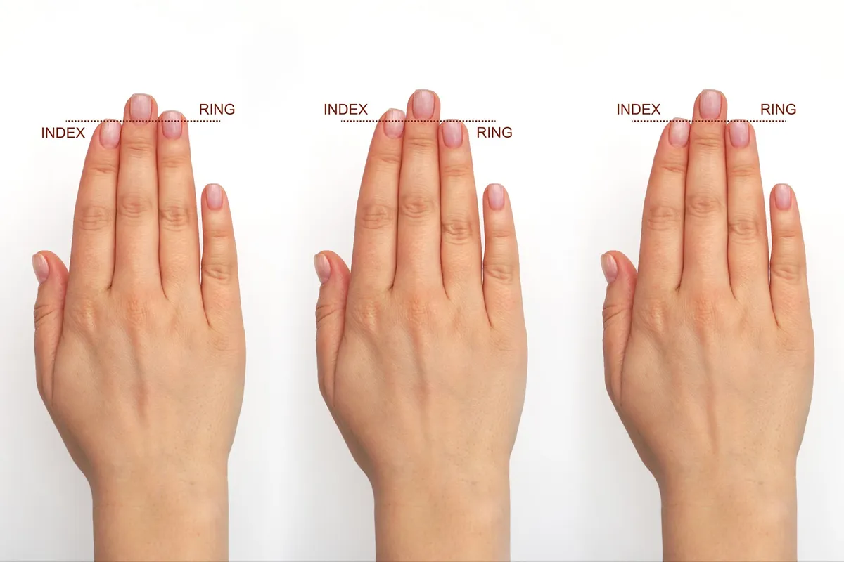 Your finger length hints at how your brain evolved before birth